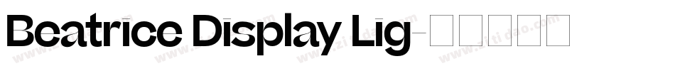 Beatrice Display Lig字体转换